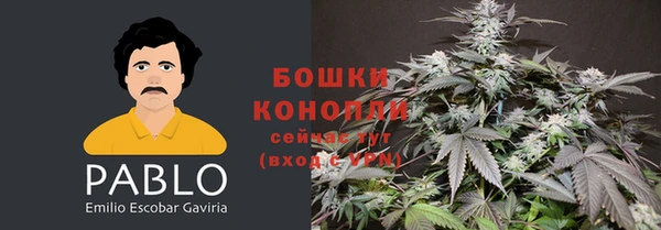 spice Волосово