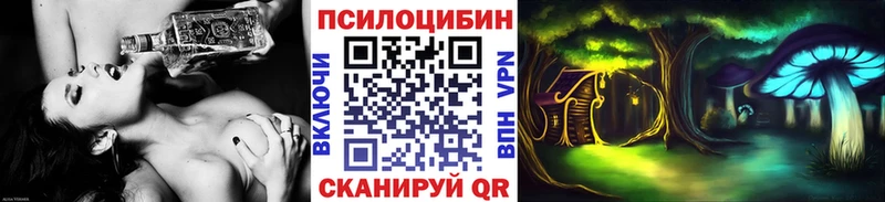 Псилоцибиновые грибы Magic Shrooms  сайты даркнета клад  Петропавловск-Камчатский 